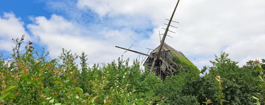 Wiatrak koźlarz