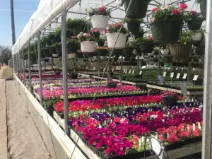 Harvest Gardens