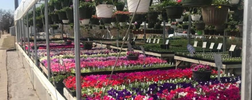Harvest Gardens