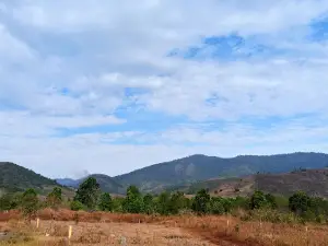 Borneo Wonderland