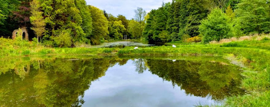 Blagdon Estate