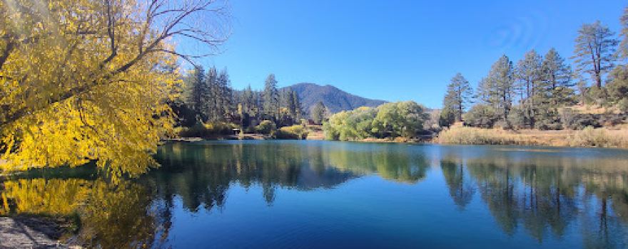 Fern's Lake