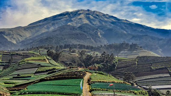 Wisata Negeri Sayur Sukomakmur
