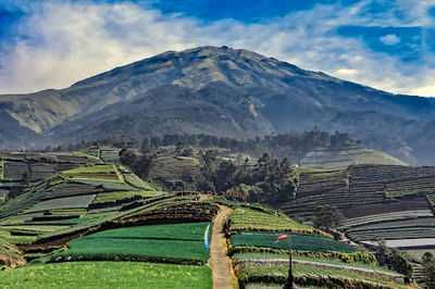 Wisata Negeri Sayur Sukomakmur