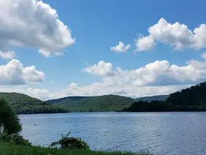 Shaw Beach