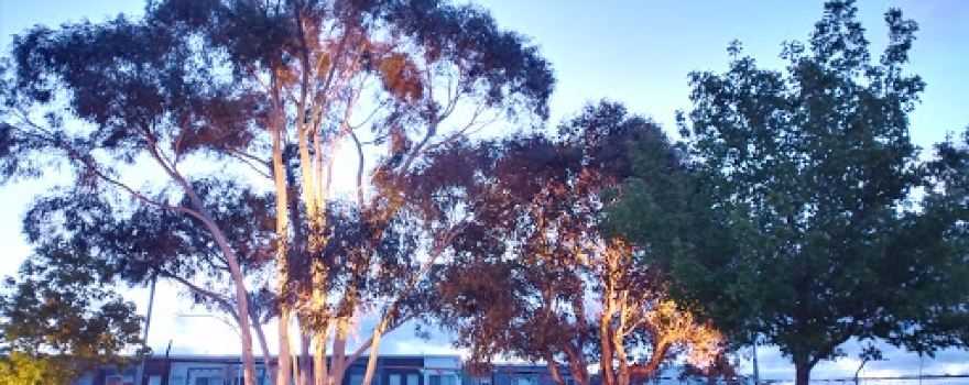Stromlo Cottage