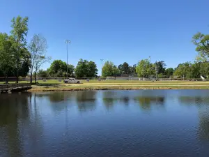 Lions Park