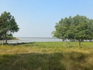 Sundarban Mangrove Forest