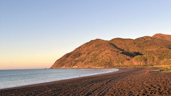 Peketa Beach Scenic Motor Camp