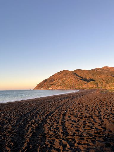 Peketa Beach Scenic Motor Camp