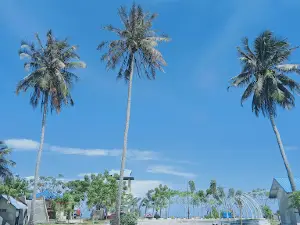 Pantai Natal