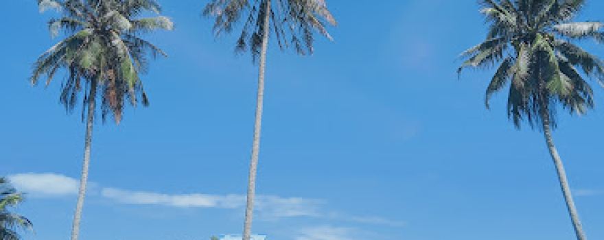 Pantai Natal