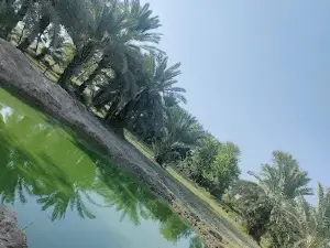 Village haji Raza Muhammad Shar / Shar House