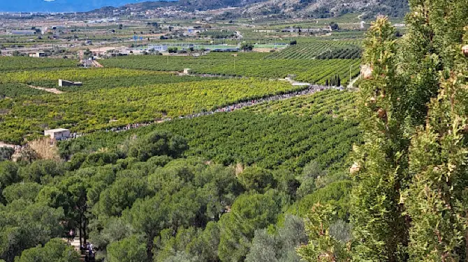 Ermitori de la Magdalena