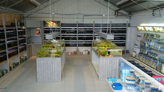 Verloop Pond And Aquarium Specialty Store