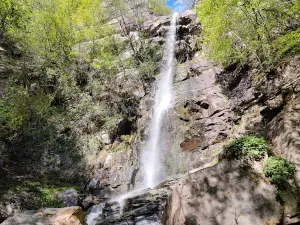 Bukov Dol Waterfall
