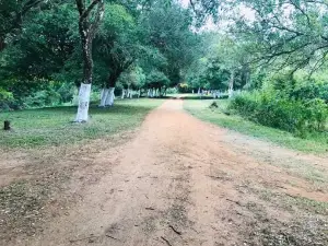 Capibary Vera Paso
