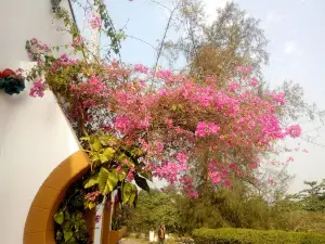 Elephant Cement Golf Club