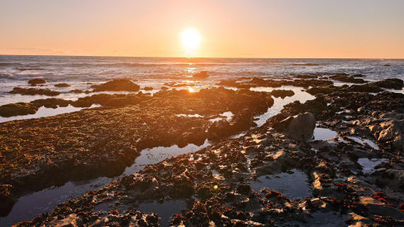 Praia da Aguçadoura