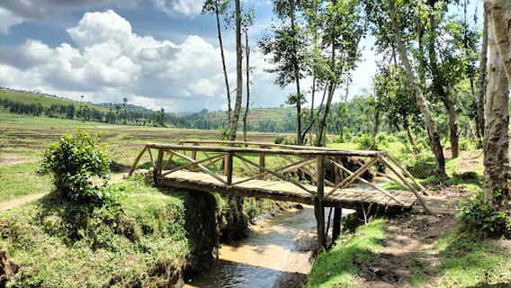 Gishwati-Mukura National Park and Biosphere Reserve