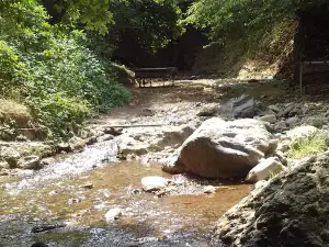 Zəyəm Texnologiya Parkı