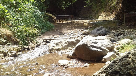 Zəyəm Texnologiya Parkı