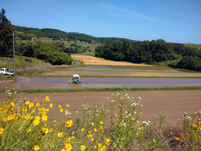 Tsuyamashi Kojiro Umenosato Park