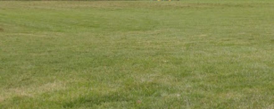 Daly Meadows Campsite