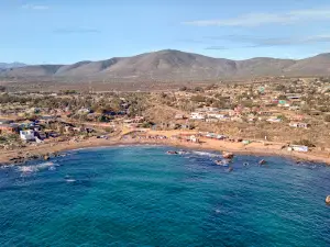 Whale Beach