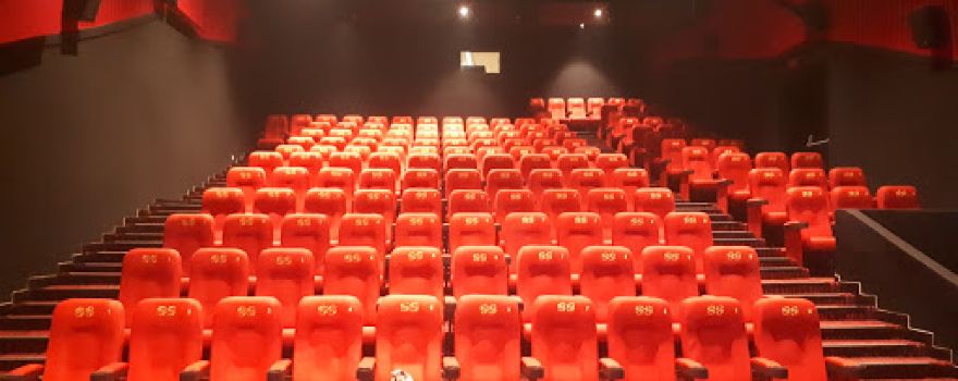 Chaudhary SS Multiplex