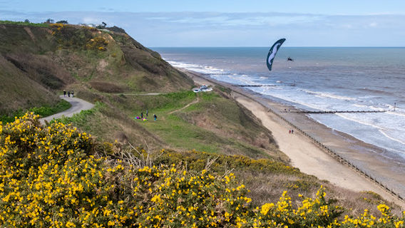 Trimingham Beach