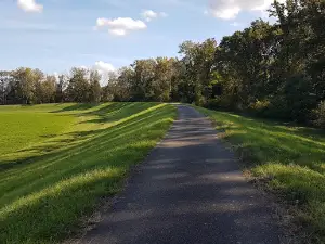 Tisa