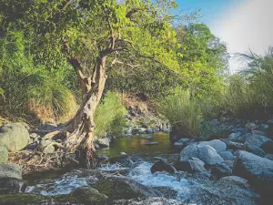 Canding/Kanding Falls Mangatarem Pangasinan