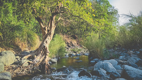 Canding/Kanding Falls Mangatarem Pangasinan
