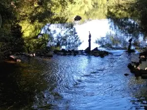 Camping in Chaumerette