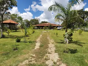 Estádio São Rafael Arcanjo