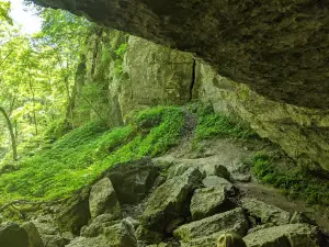 Dutton Cave Co Park