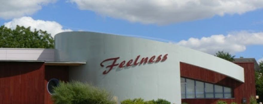 Feelness