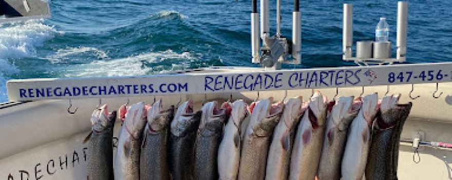Renegade Fishing Charters
