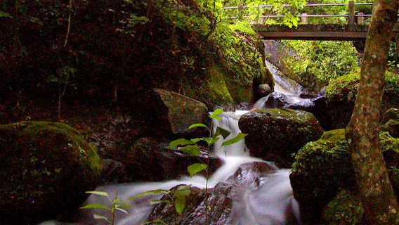 बिण्णुद्वार तल्लाे झरना Bishnudwar Lower Waterfall