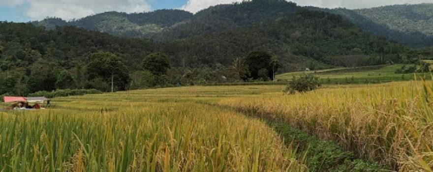 BATU RISET
