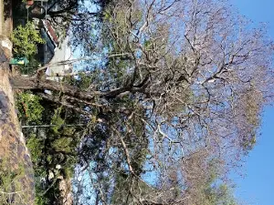 푸탈람 칠드런스 스파크