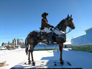 Boss Cowman Square
