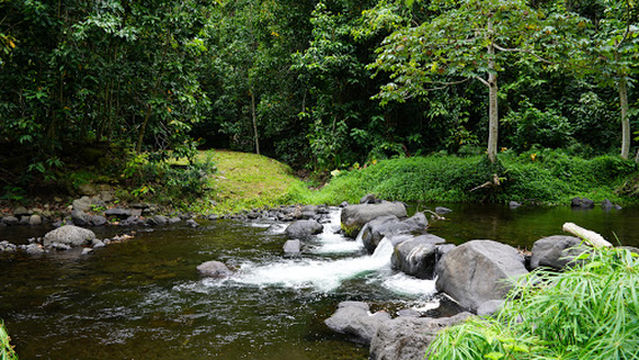 Fautaua Valley Falls Trailhead