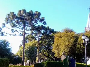 Praça Cleve