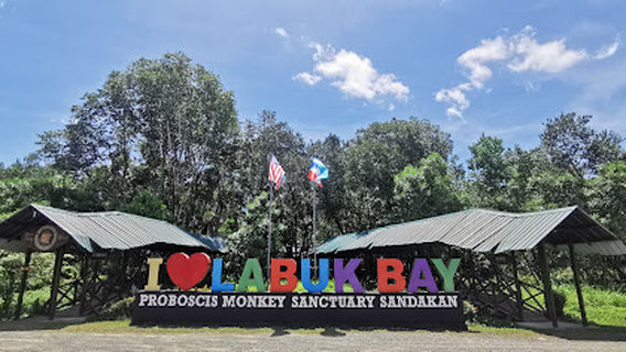 Labuk Bay Proboscis Sanctuary - Platform A