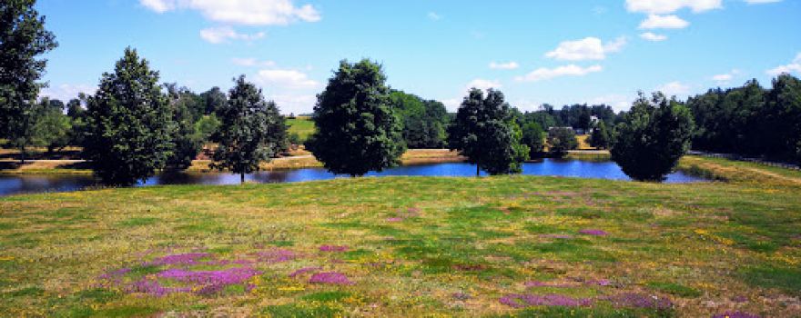 Etang béal des roziers