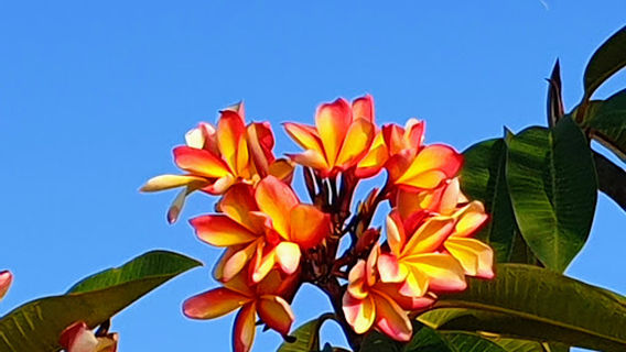 St Lawrence Recreation Ground