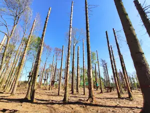 Kletterwald Surwold