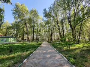 Park Alanı